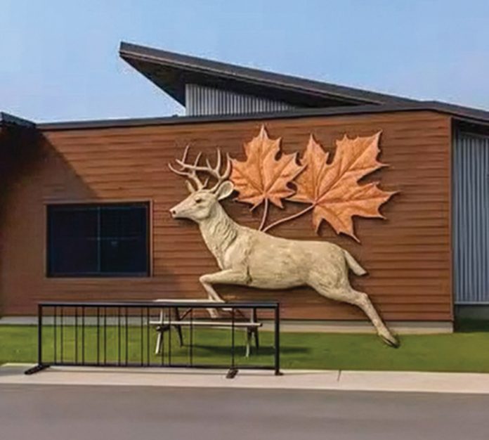 BN Multi-use forest roads