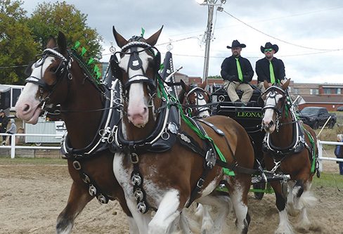 Funding for Pontiac Festivals