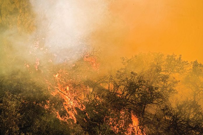 2. Sharp rise in brush fires_